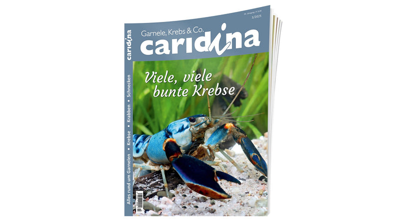 Zeitschriften