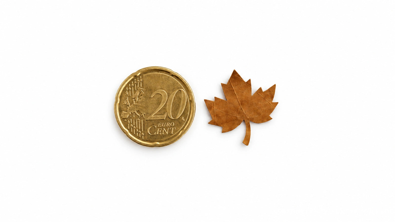 Deko Blätter im Herbst Look
