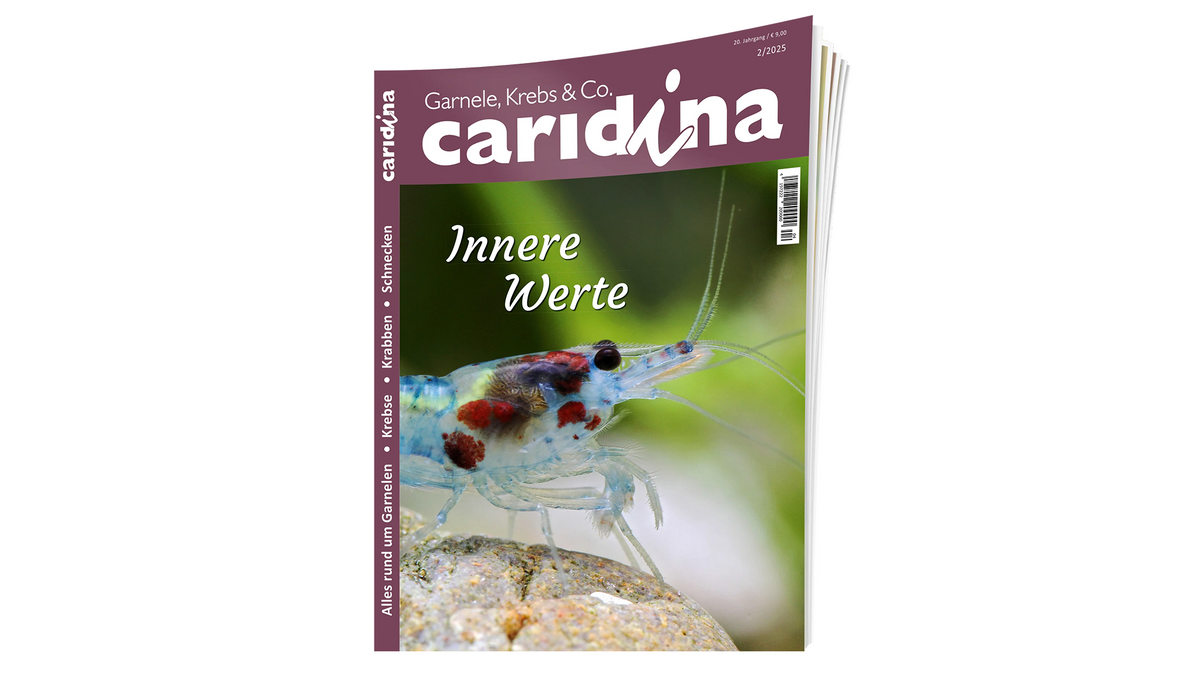 caridina 2025/2  | Zeitschrift