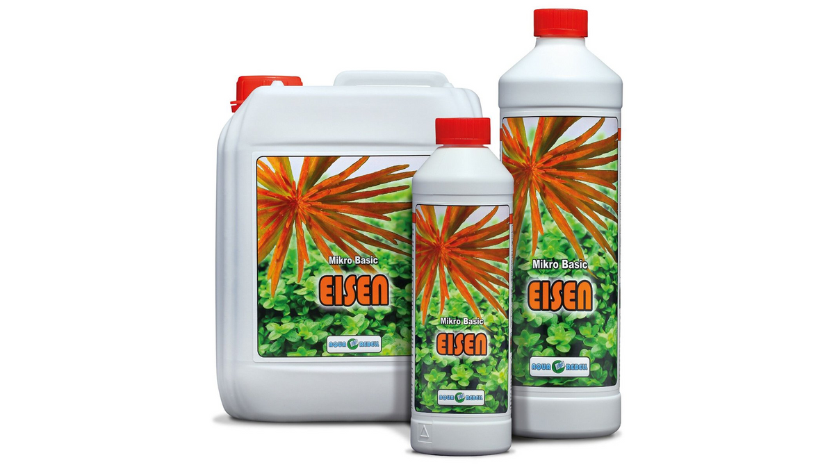 Aqua Rebell Mikro Basic Eisen - GarnelenTv-Shop

Aqua Rebell Mikro Basic Eisen – Iron Fertilizer for Aquatic Plants
