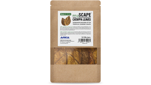Natürliche Wasserpflege mit ARKA Catappa Leaves