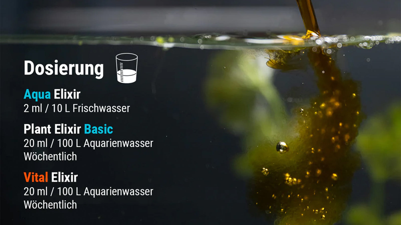 Dennerle Care & Protect Sets zur professionellen Wasseraufbereitung und Pflege von Süßwasseraquarien. Die hochwertige Verpackung zeigt die enthaltenen Komponenten für maximalen Schutz und Vitalität Ihrer Aquarienbewohner.
