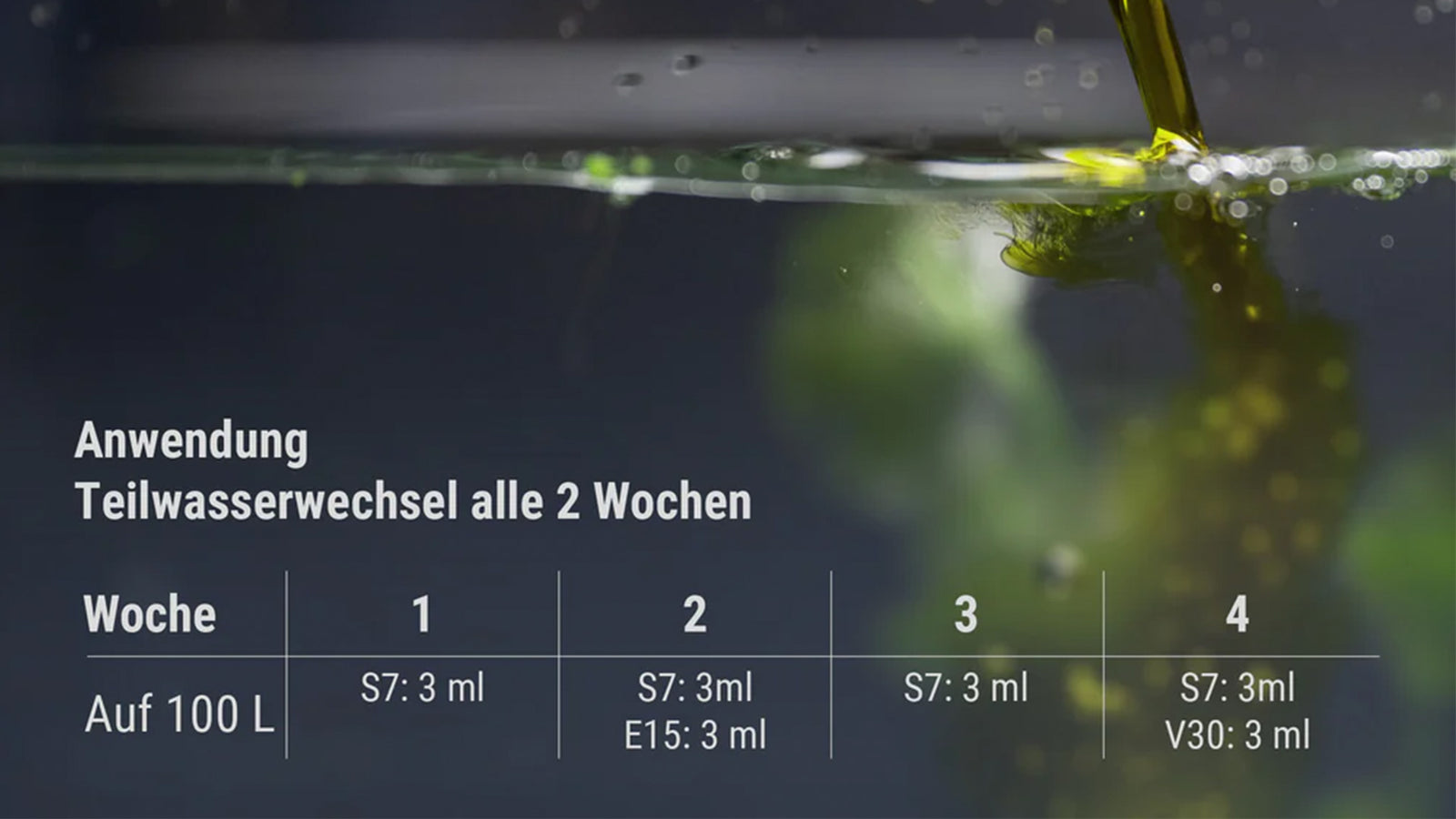 Die vollständige Ansicht des Dennerle Plant System Sets zeigt alle perfekt aufeinander abgestimmten Düngekomponenten für ein gesundes Aquarium. Das Bild verdeutlicht die professionelle Kombination aus Basisdünger und Vitalstoffen für prachtvollen Pflanzenwuchs und intensive Blattfarben.