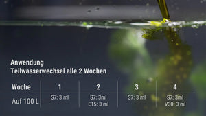 Eine Illustration der einfachen Anwendung des Dennerle Düngersystems zur täglichen oder wöchentlichen Nährstoffergänzung. Das Bild zeigt die präzise Dosierbarkeit der Komponenten, die speziell für die Sicherheit von Garnelen und Fischen im Aquarium entwickelt wurden.