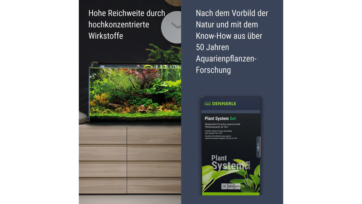 Sattgrüne Aquarienpflanzen nach der Anwendung des Dennerle Plant System Sets im Aquascape. Das Foto visualisiert die vitale Blattstruktur und das Ausbleiben von Mangelerscheinungen durch die gezielte Nährstoffversorgung im Süßwasseraquarium.