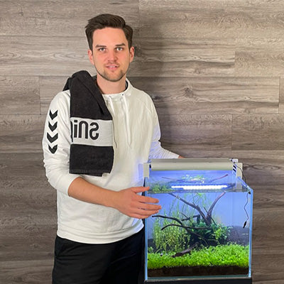 Experte Lucas Müller Antennenwels Schleier Ancistrus spec