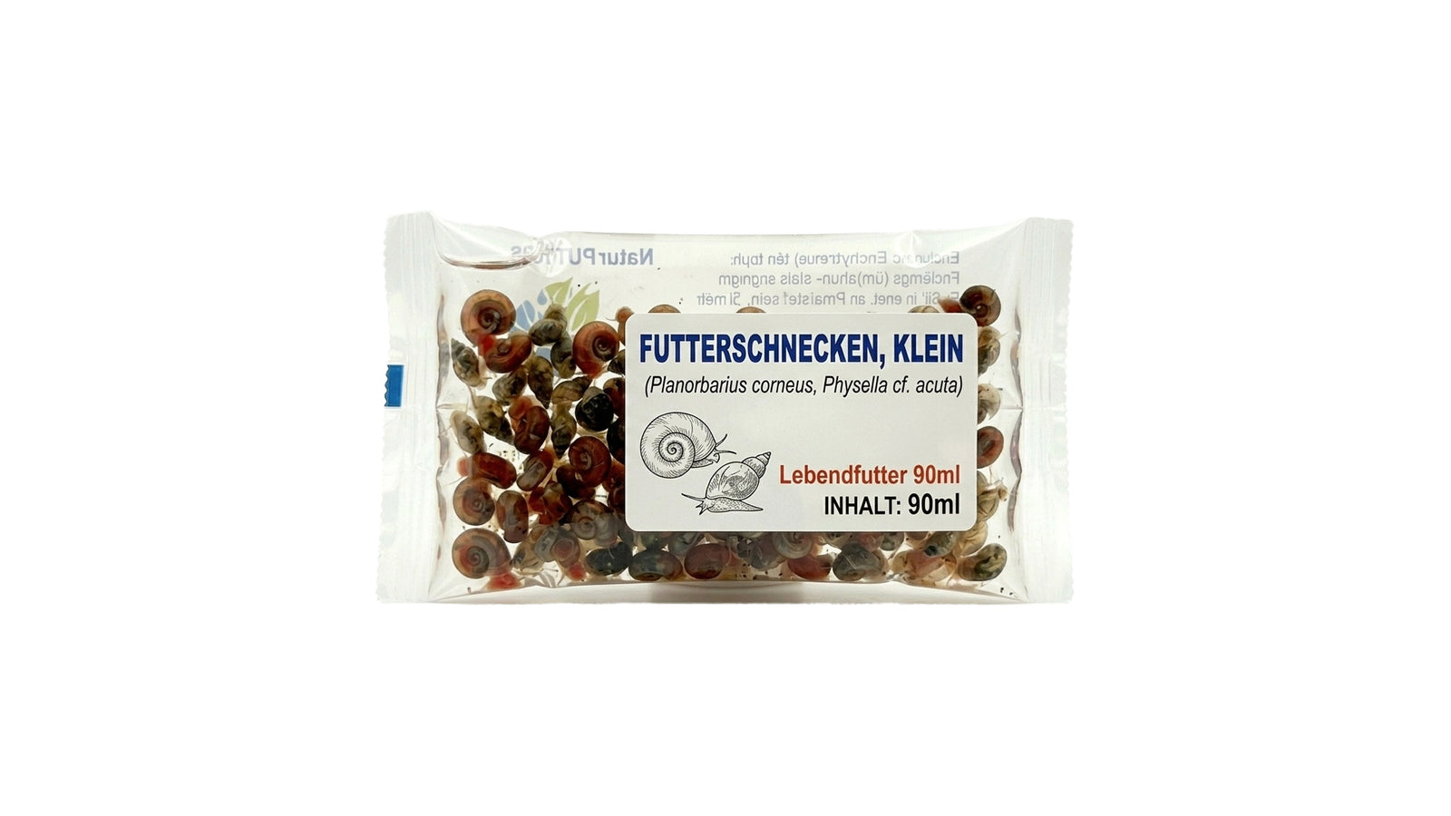 Futterschnecken, klein (Planorbarius corneus, Physella cf. acuta) -  Lebendfutter 90ml