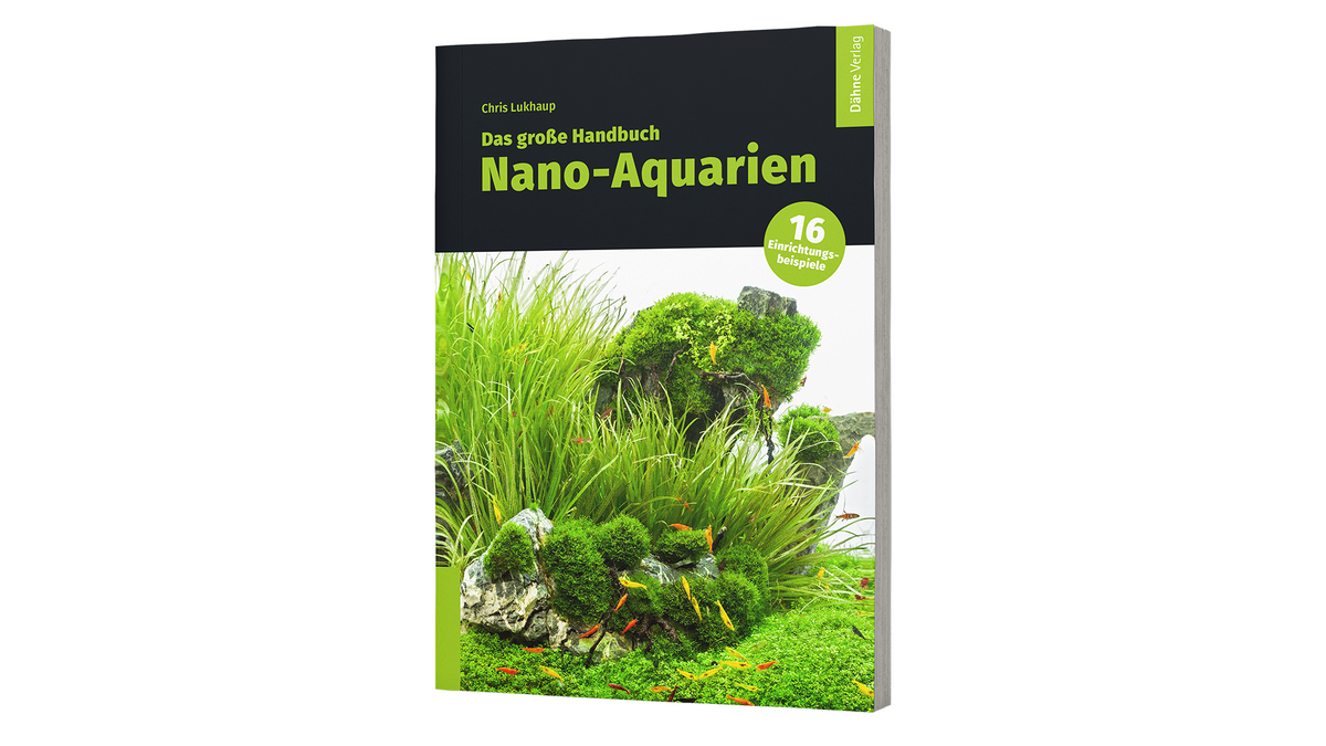 Nano-Aquarium mit Garnelen und Zwergkrebse