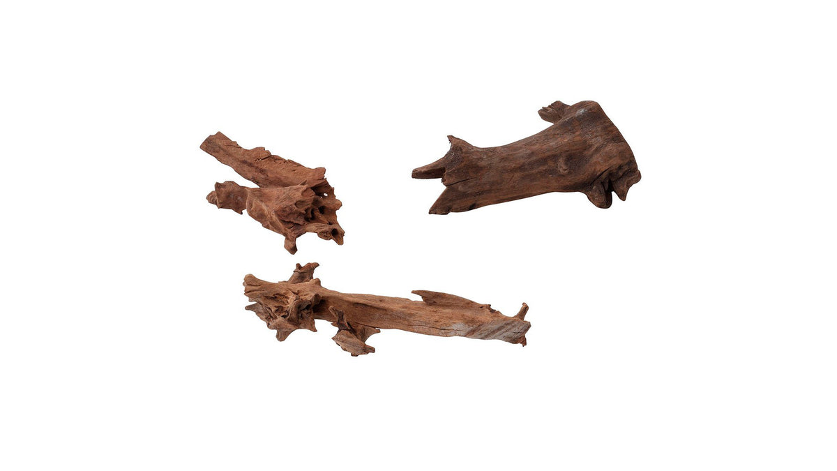 Mangrovenwurzel - Wurzel für Aquarien - GarnelenTv-Shop

Mangrovenwurzel für Aquarien – Natürliche Dekoration & Verstecke

