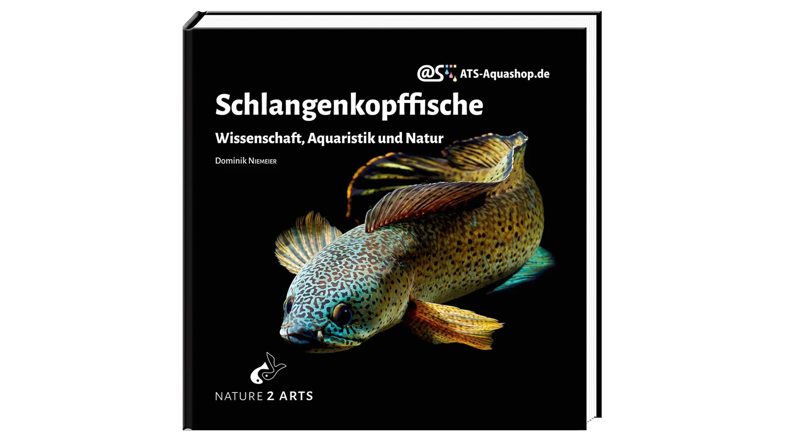 Schlangenkopffische Buch Dominik Niemeier Channa Aquaristik Wissenschaft Dähne Verlag