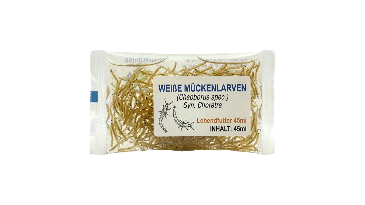 Weiße Mückenlarven - Chaoborus spec., Syn. Choretra -  Lebendfutter 45ml
