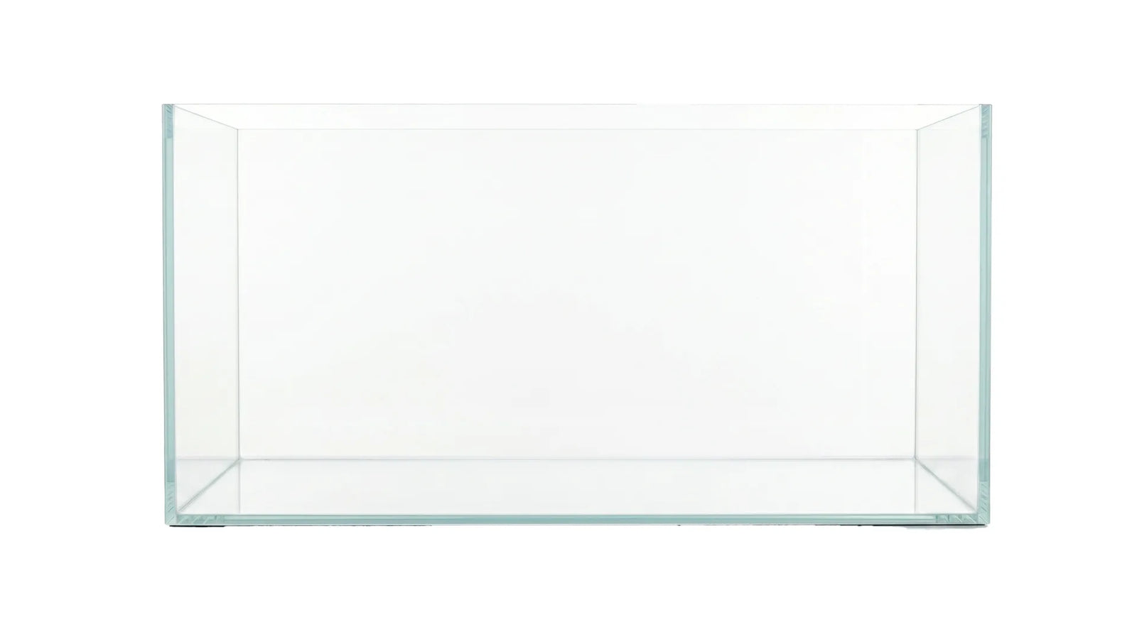 Aquascape Aquarium mit den Weißglas-Aquarium 100x50x50cm (LxTxH) 250l