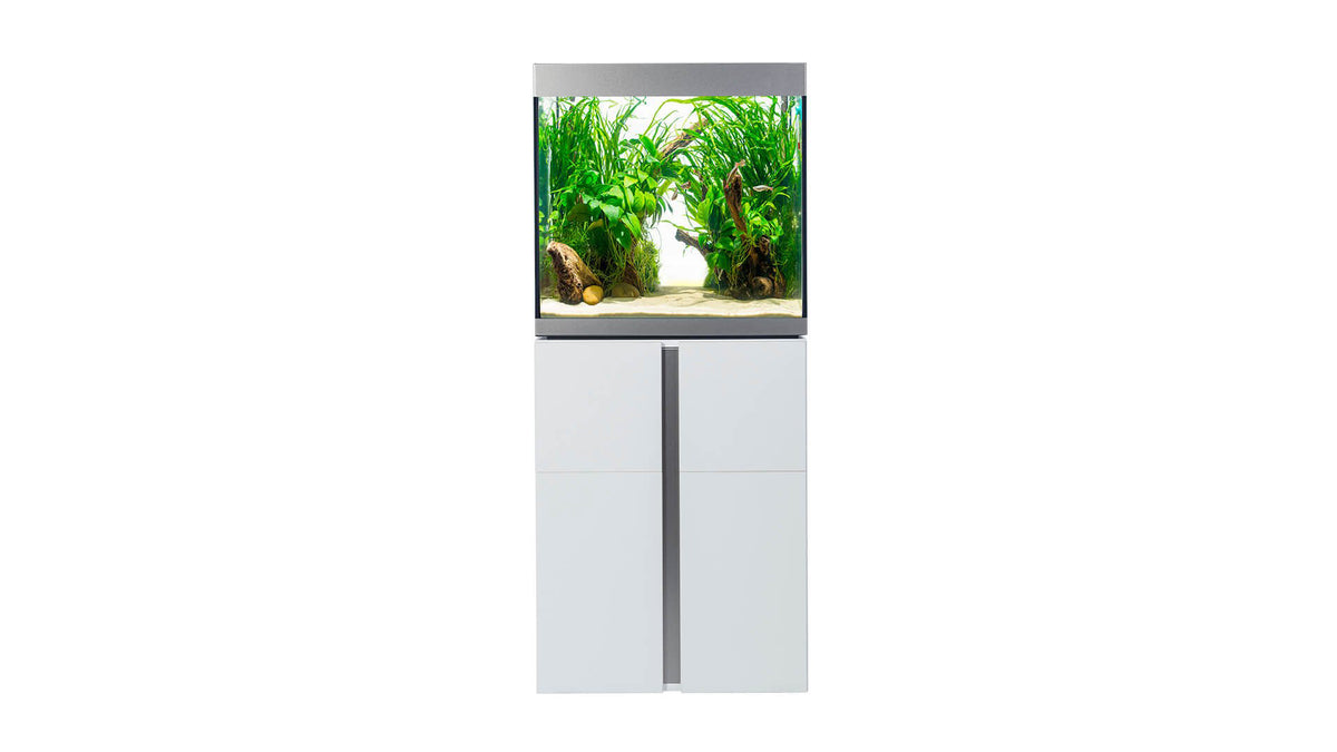 Fluval - Siena Serie Aquarium - GarnelenTv-Shop

Fluval Siena Aquarium mit modernem Design
