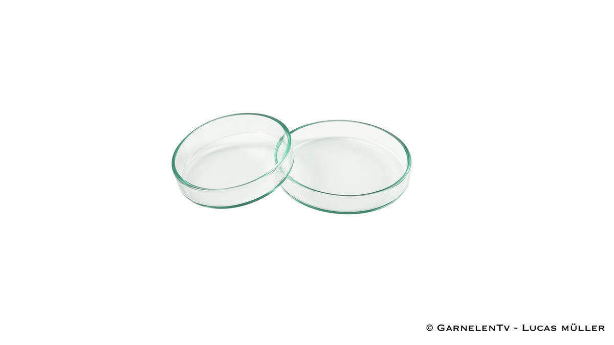 Futterschalen aus Glas | Optimal für Wirbellose / Zwerggarnelen und Krebse - GarnelenTv-Shop

AquaNova Luftschlauch 4/6 mm für Membranpumpen

