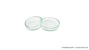 Futterschalen aus Glas | Optimal für Wirbellose / Zwerggarnelen und Krebse - GarnelenTv-Shop

AquaNova Luftschlauch 4/6 mm für Membranpumpen
