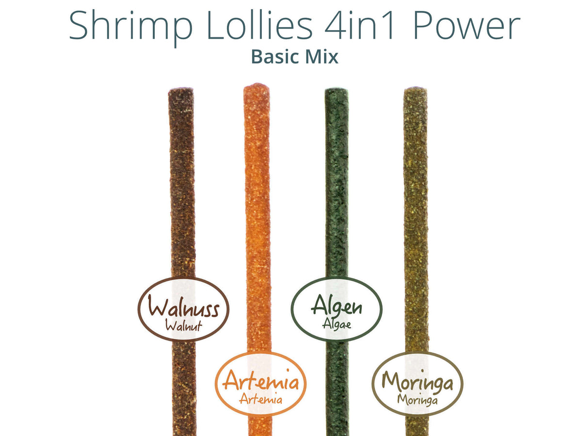 Shrimp Lollies BASIC MIX mit Algen und Artemia
