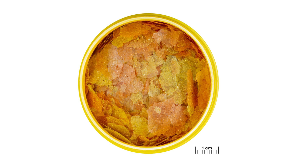JBL PRONOVO COLOR FLAKES M – Flockenfutter für Zierfische mit Astaxanthin