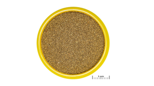 JBL PRONOVO NEON - perfect for small fish 1-3 cm

