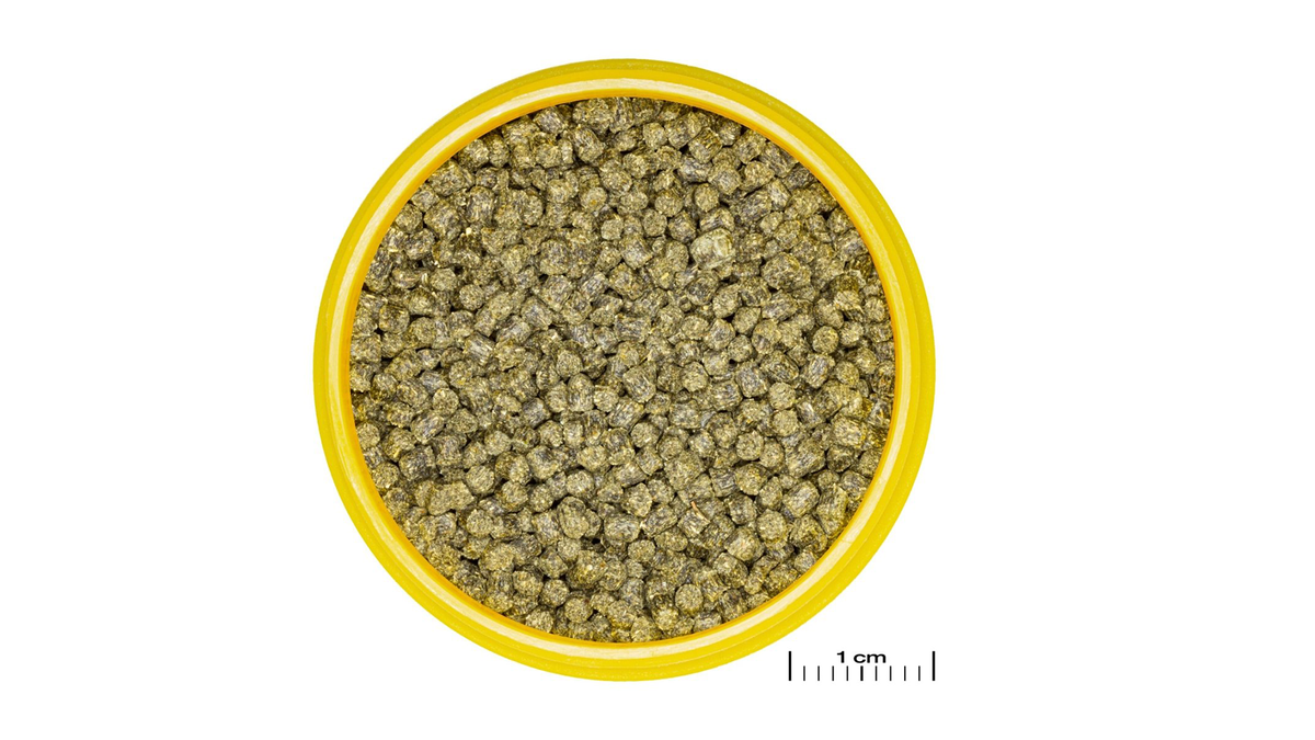 JBL PRONOVO SHRIMPS GRANO S – Präbiotisches Granulatfutter für Garnelen