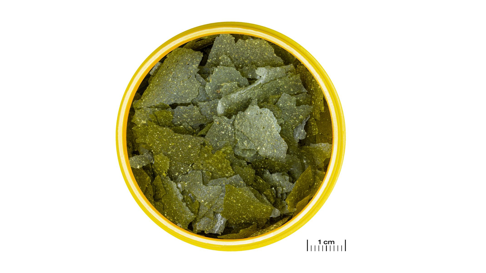 JBL PRONOVO Spirulina Flakes for Aquarium Fish