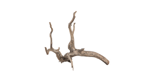 Scaper Root