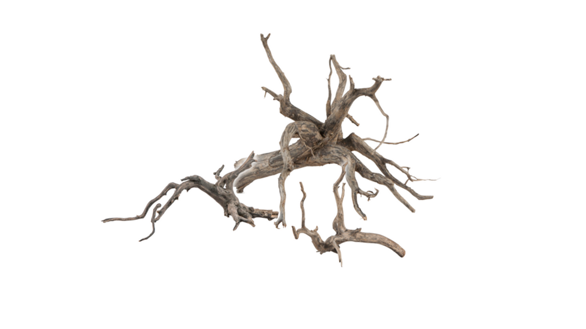 Scaper Root