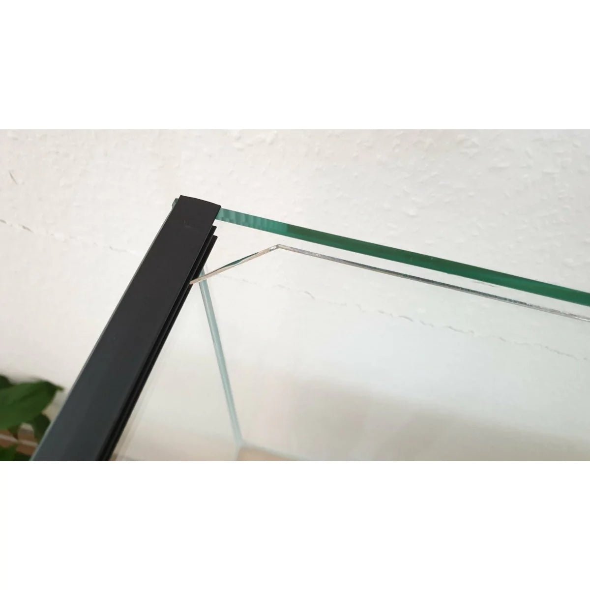 Abdeckscheiben für Besta 60x40x40cm - GarnelenTv-Shop

Abdeckscheiben für Aquarium Besta 60x40x40 cm


