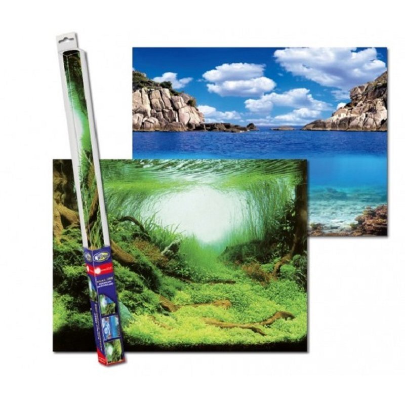 Aquarien-Hintergrund 100x50 cm - GarnelenTv-Shop
Aquarien-Hintergrund 100x50 cm

