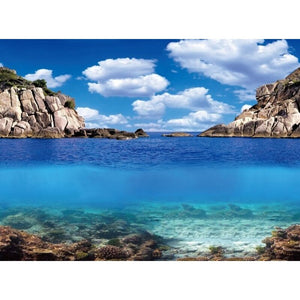 Aquarien-Hintergrund 60x30 cm - Plants/Ocean S - GarnelenTv-Shop
Dekorativer Aquarien-Hintergrund Plants/Ocean Design
