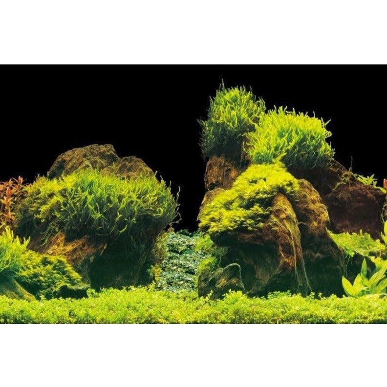 Aquarien-Hintergrund Folie 60x30cm mit Muster - GarnelenTv-Shop
Zuschneidbare Aquarien-Hintergrund Folie
