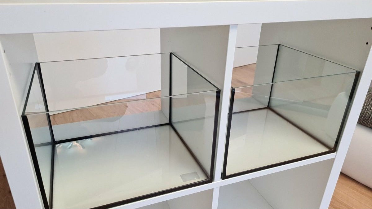 Aquarium 33x28x22cm (LxTxH) 20l für KALLAX-Regal - GarnelenTv-Shop
20L Aquarium 33x28x22cm mit hellem Silikon für IKEA KALLAX
