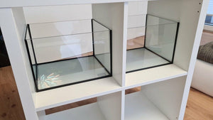 Aquarium 33x28x22cm (LxTxH) 20l für KALLAX-Regal - GarnelenTv-Shop
Aquarium für KALLAX-Regal mit HangOn-Filter und hellem Silikon
