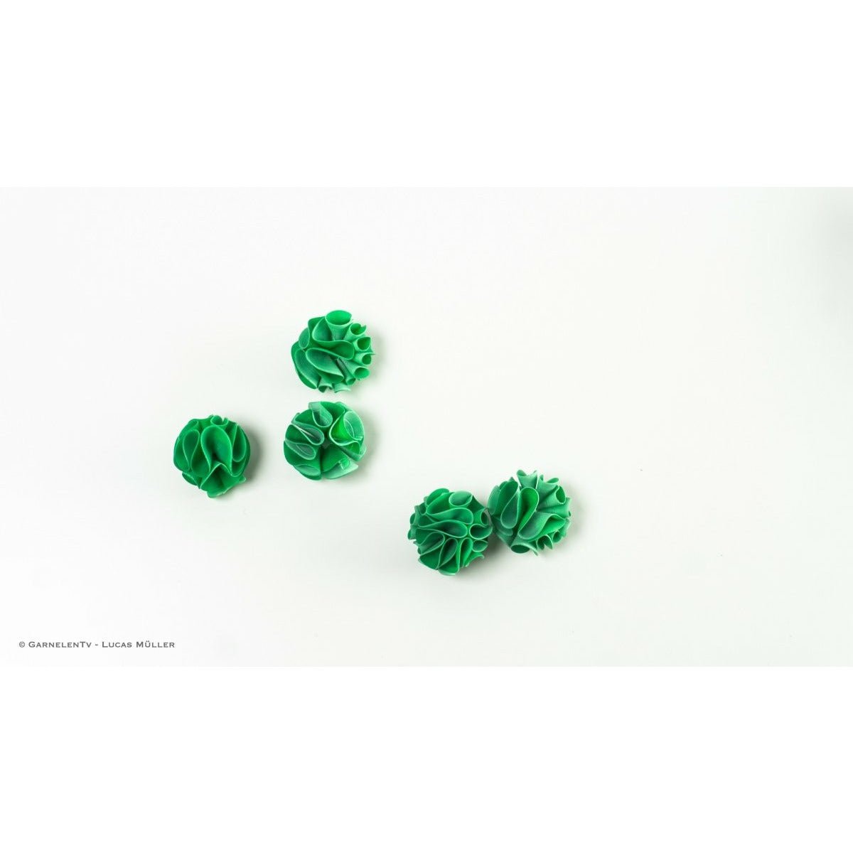 Baby Shrimp Shelter, 5er-Set Grün - GarnelenTv-Shop

Baby Shrimp Shelter 5er-Set Grün für Babygarnelen