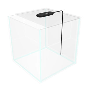 Collar AquaLighter Pico Tablet schwarz - GarnelenTv-Shop

USB betrieben Collar AquaLighter Pico für Aquarien
