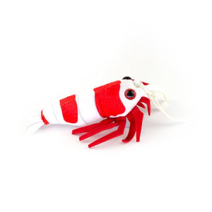 Crystal Red Garnele Kuscheltier - GarnelenTv-Shop

Crystal Red Garnele Kuscheltier Geschenk für Aquaristik-Fans
