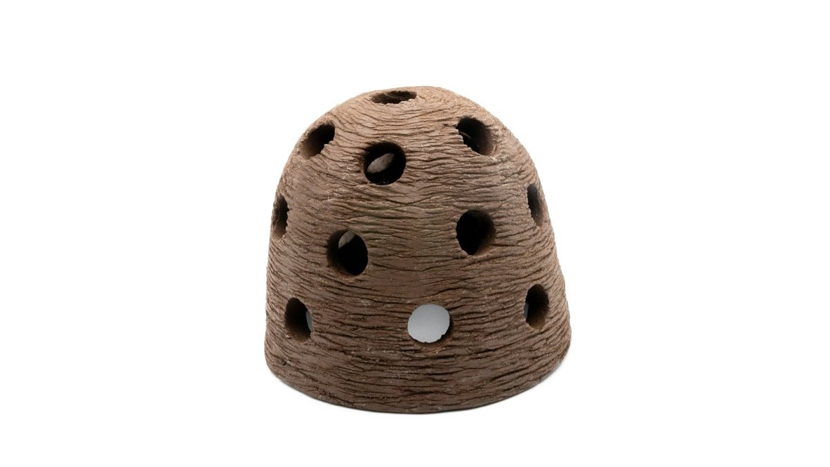 Garneleniglu schwarz/braun - GarnelenTv-Shop

Garneleniglu schwarz/braun für Garnelen
