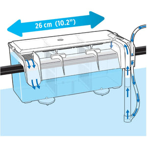 Hang-On Breeding Box L - Fluval - GarnelenTv-Shop

Fluval Aufzuchtbecken mit optimaler Wasserzirkulation

