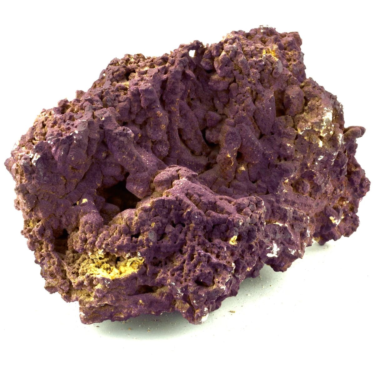 Jurassic Reef Rock - Meerwassersteine - GarnelenTv-Shop

Jurassic Reef Rock – Natürliches Gestein für den Riffaufbau

