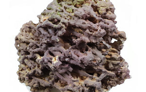 Jurassic Reef Rock - Meerwassersteine - GarnelenTv-Shop

Jurassic Reef Rock – Kalkhaltig für Meerwasseraquarien

