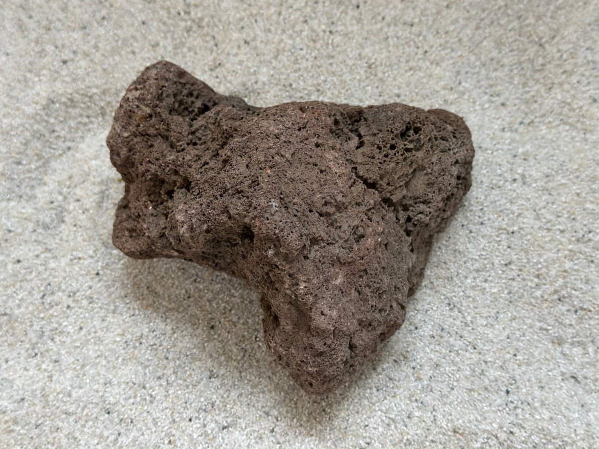 Lava Stein - 1kg - GarnelenTv-Shop

Lava Stein 1kg für Aquarien – Natürliche Dekoration und Filtration

