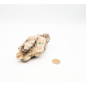 Mini Landschaft - 611g - GarnelenTv-Shop

Mini Landschaft Stein 611g

