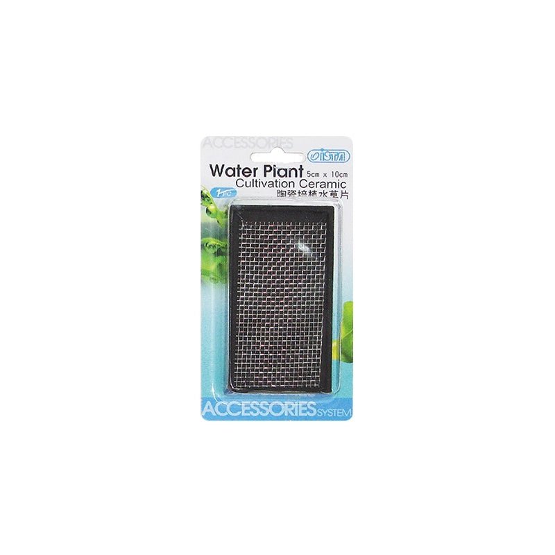 Moos Pad - Pflanzengitter 6 x 11 - GarnelenTv-Shop

Moos Pad Pflanzengitter 6x11 – Ton Moosgitter für Aquarien

