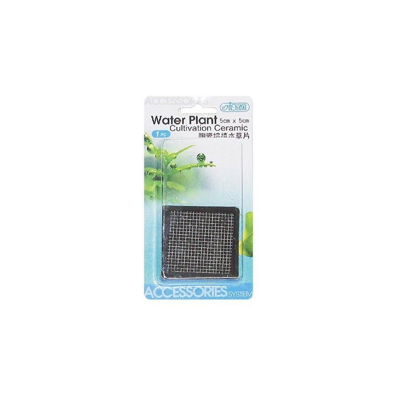 Moos Pad - Pflanzengitter 6x6 - GarnelenTv-Shop

Moos Pad Pflanzengitter 6x6 – Ton Moosgitter für Aquarien

