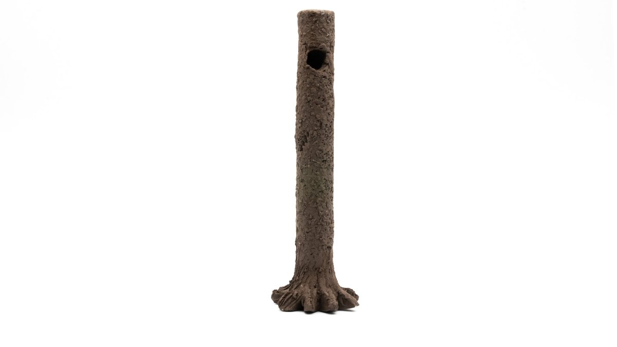 Nano Garnelenstamm 14 cm braun/schwarz - GarnelenTv-Shop

Nano Garnelenstamm 14 cm braun/schwarz für Aquarien
