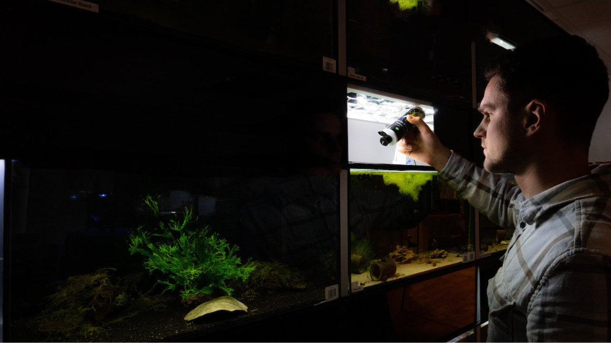 Natürliche Huminstoffe für Aquaristik