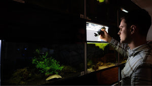 Natürliche Huminstoffe für Aquaristik