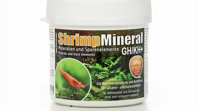 SaltyShrimp Shrimp Mineral GH/KH+, 200g - GarnelenTv-Shop

SaltyShrimp Shrimp Mineral GH/KH+ 200g - Mineralien für Osmosewasser und Garnelenpflege

