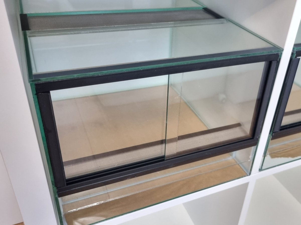 Terrarium 33x38x25cm (LxTxH) für IKEA Kallax - GarnelenTv-Shop

Gaze oder Lochblech Terrarium
