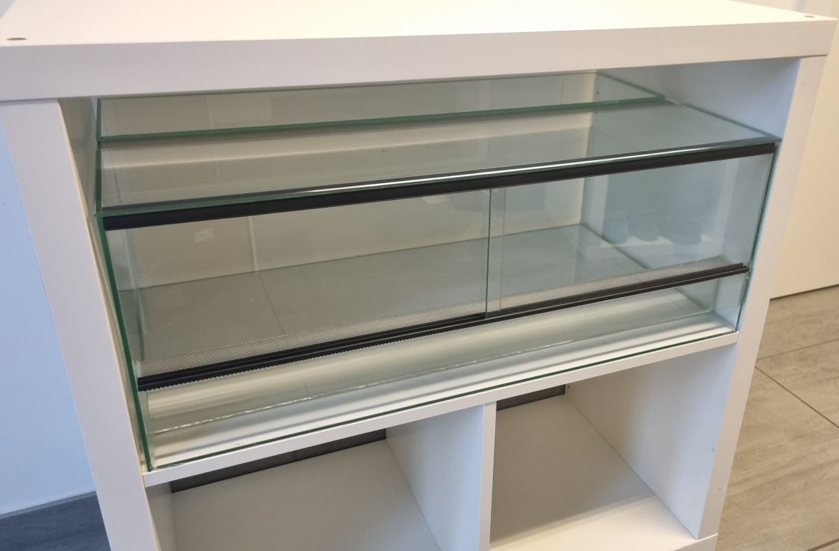 Terrarium 68x38x25cm (LxTxH) für IKEA Kallax - GarnelenTv-Shop

4mm Floatglas Terrarium
