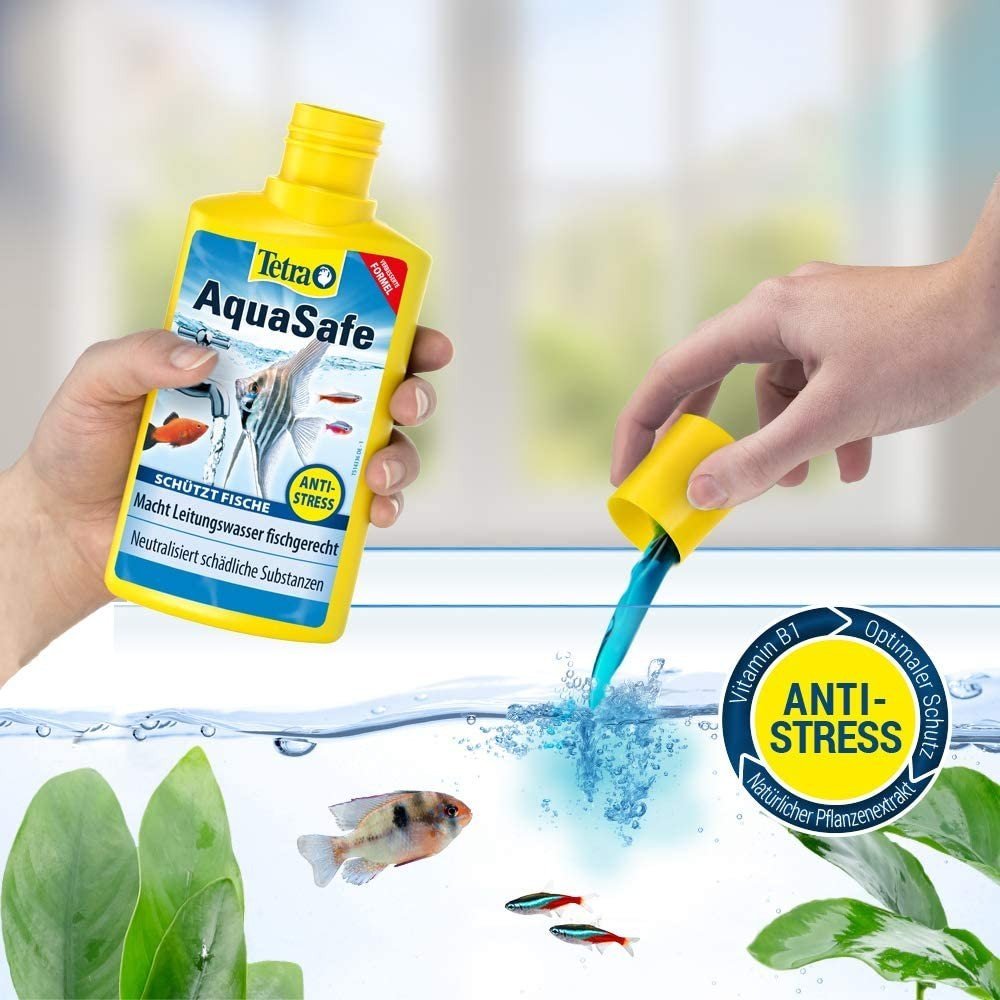 Tetra - AquaSafe 500ml / Wasseraufbereiter - GarnelenTv-Shop

Tetra AquaSafe Wasseraufbereiter für gesunde Aquarien

